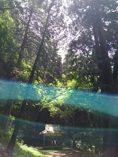20150702094714211.jpg